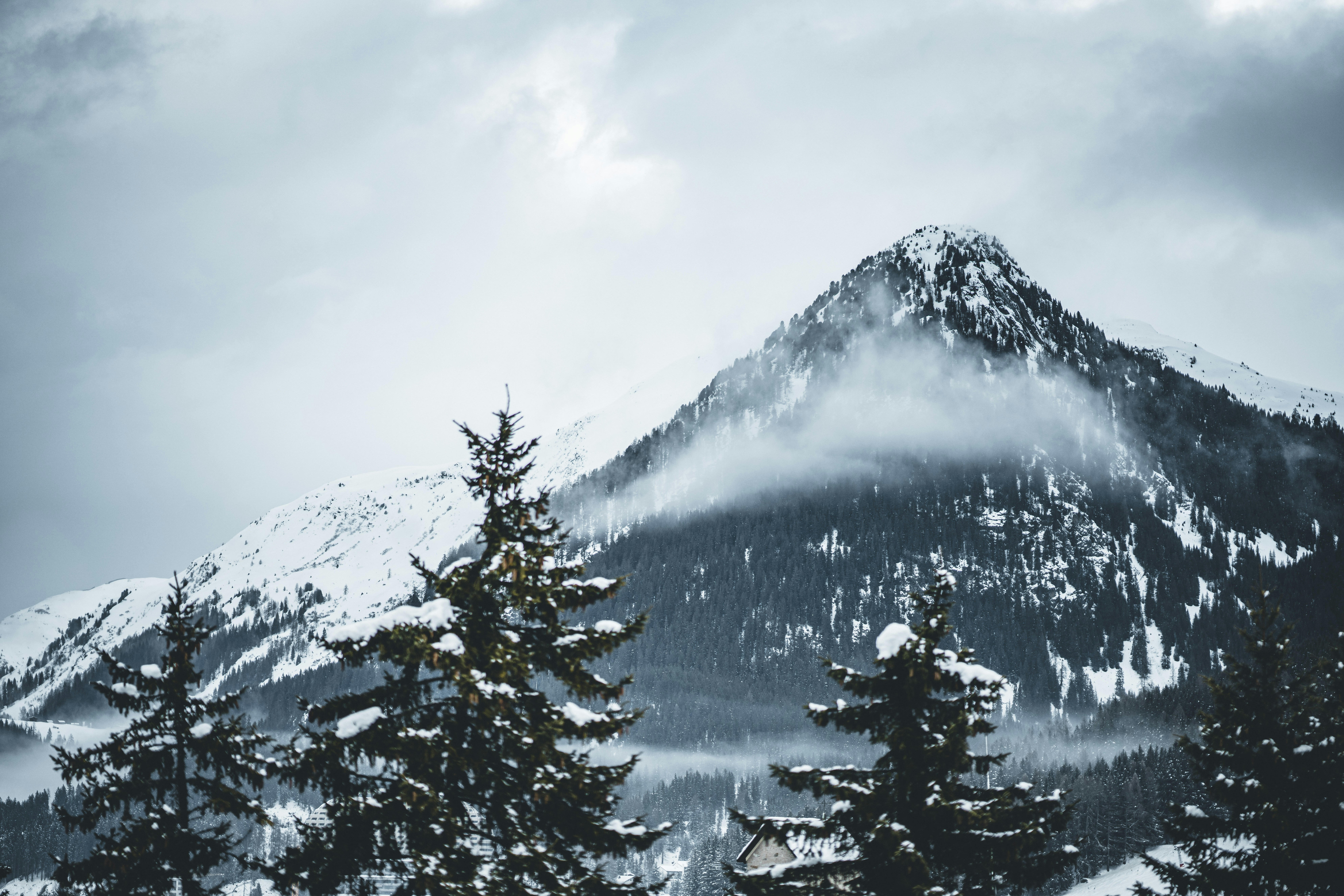 Photo by estimated_ch