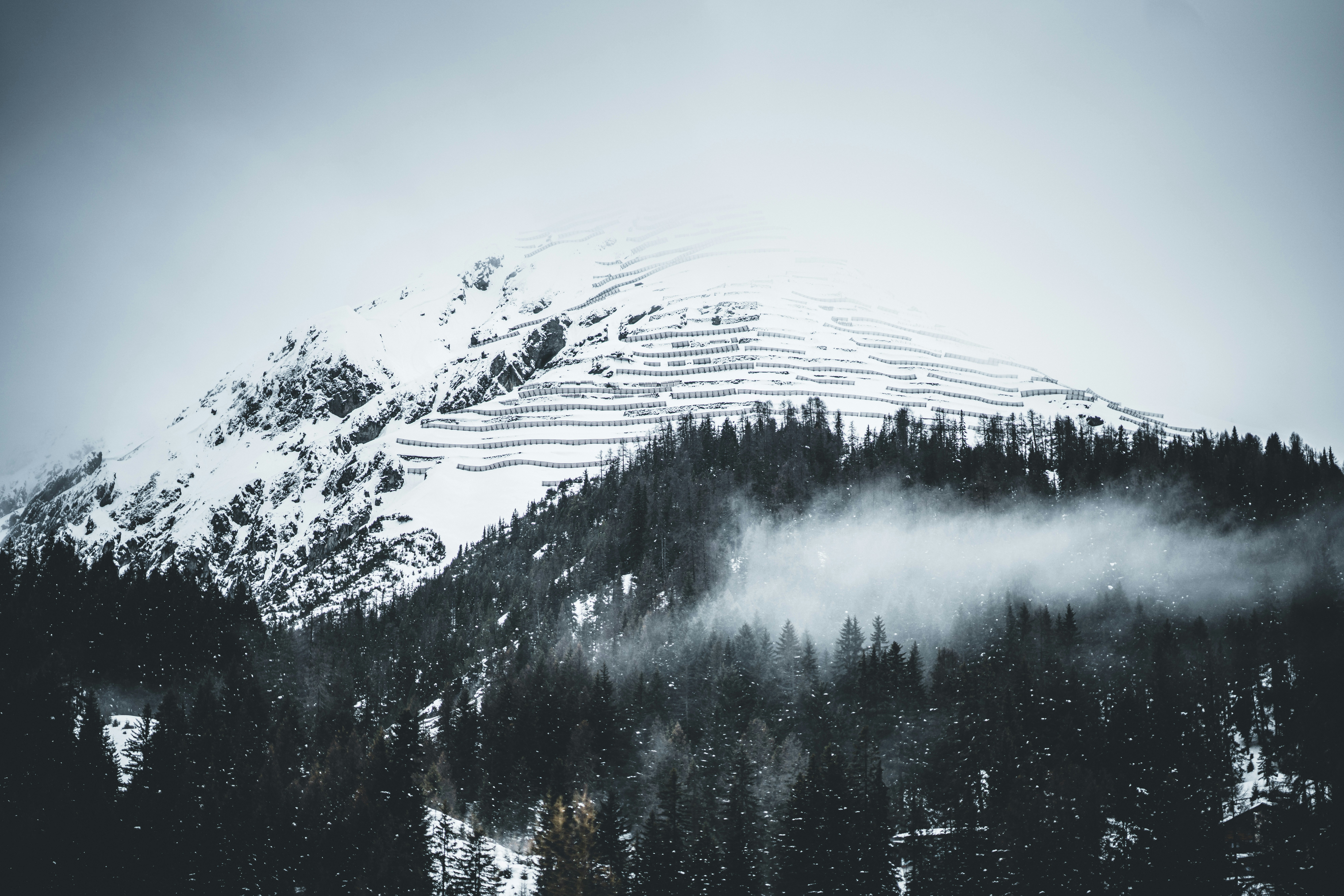 Photo by estimated_ch