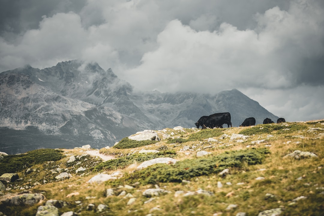 green grass field near mountain under white clouds during daytime