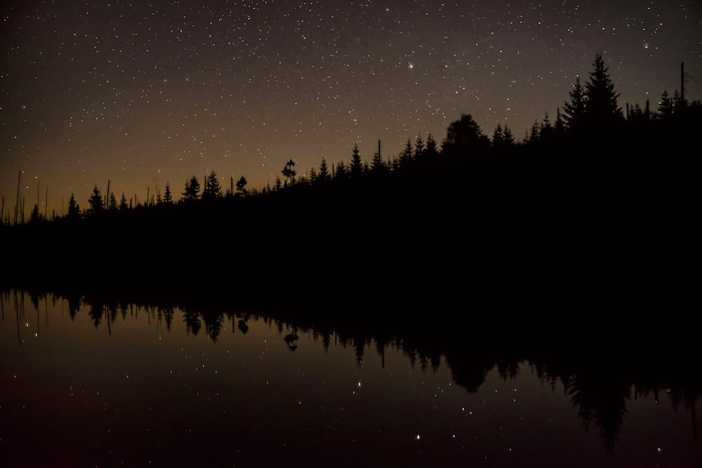 silhouette of trees during night time