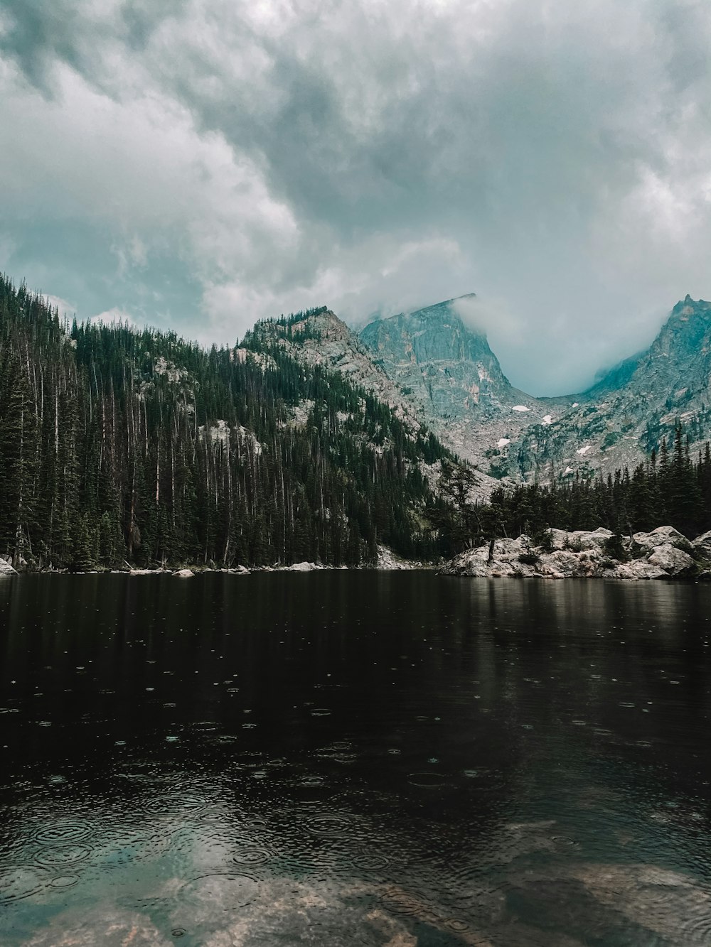 green trees near lake under cloudy sky during daytime