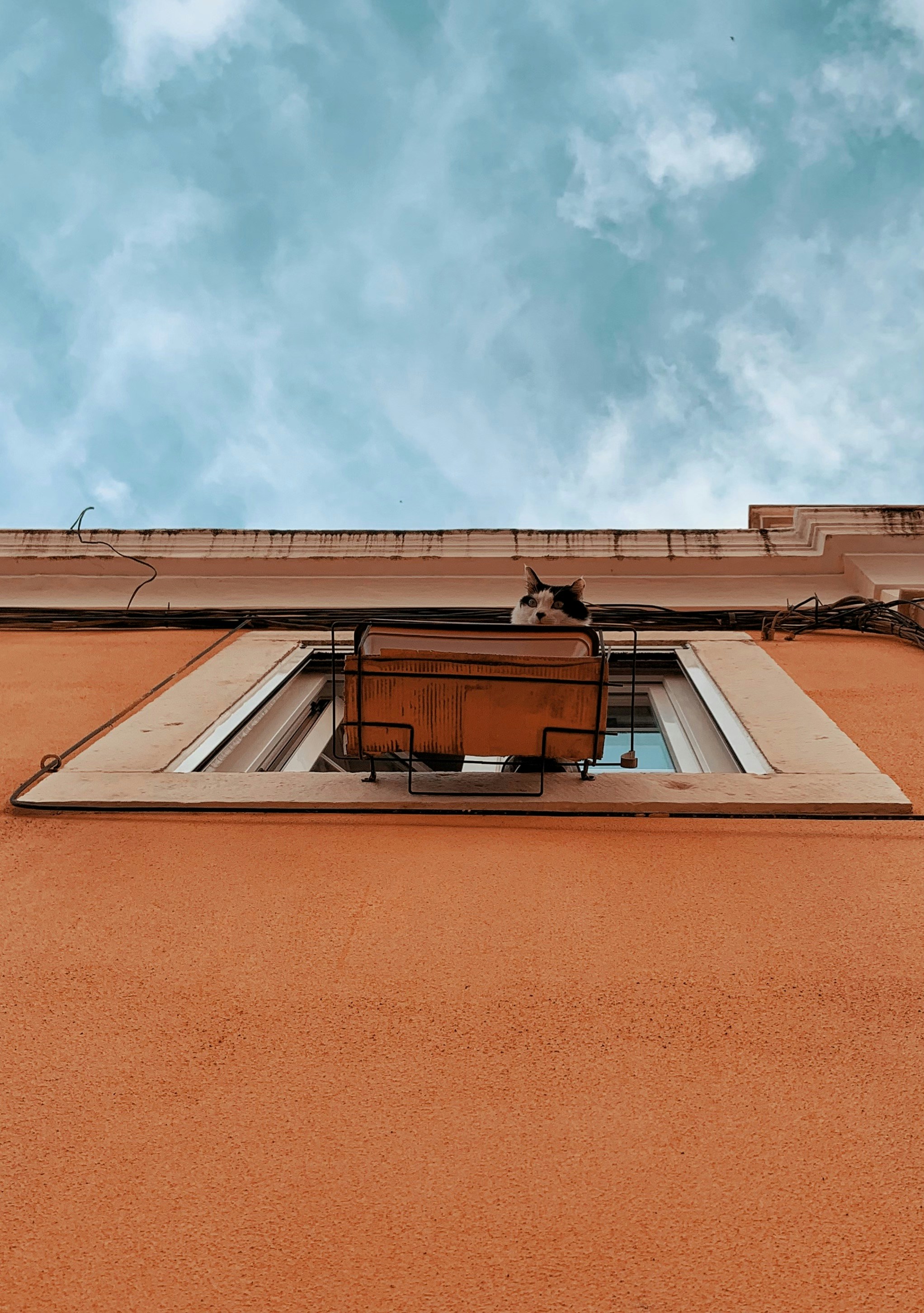 Photo by shobhitsharma