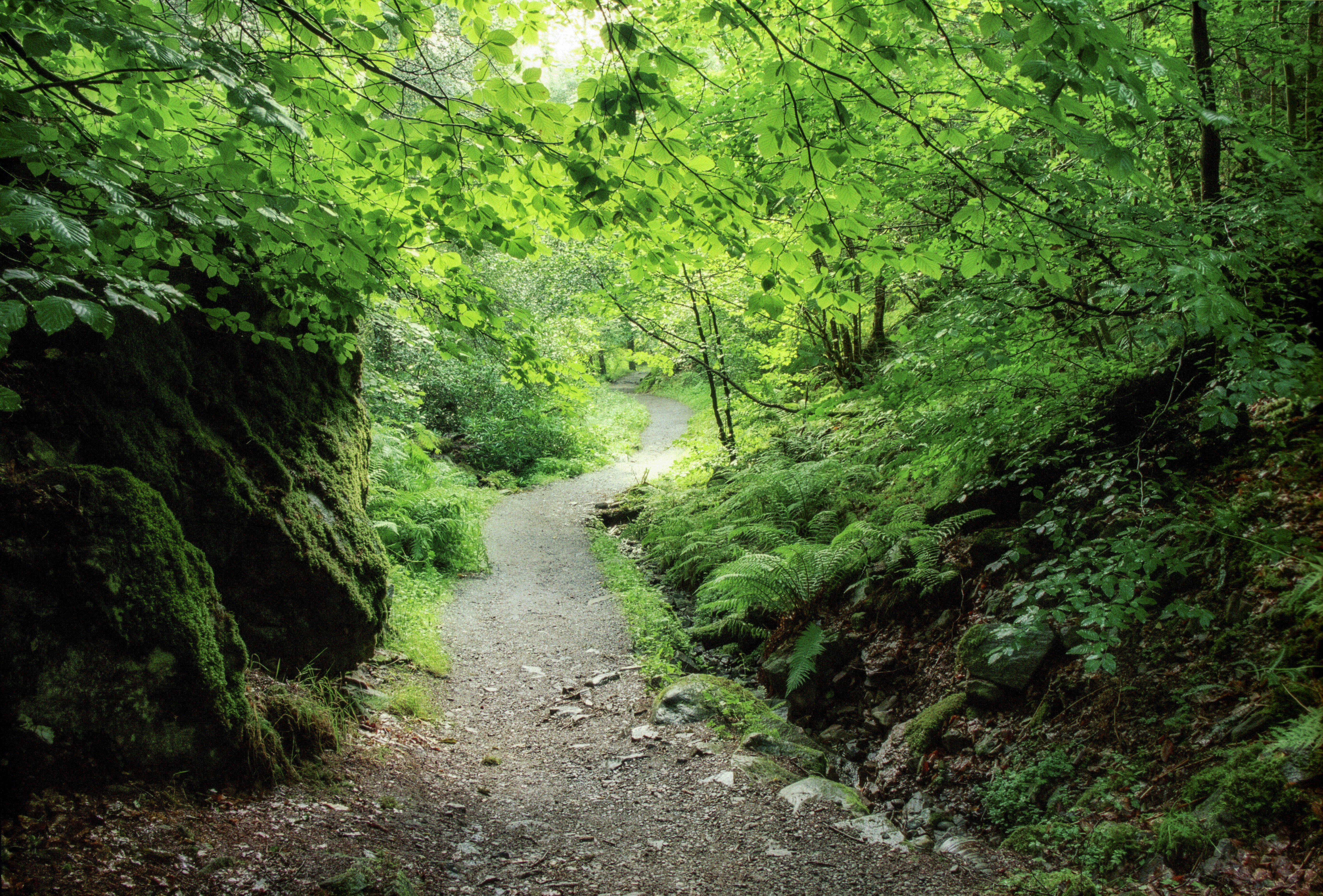 Photo by rocinante_11