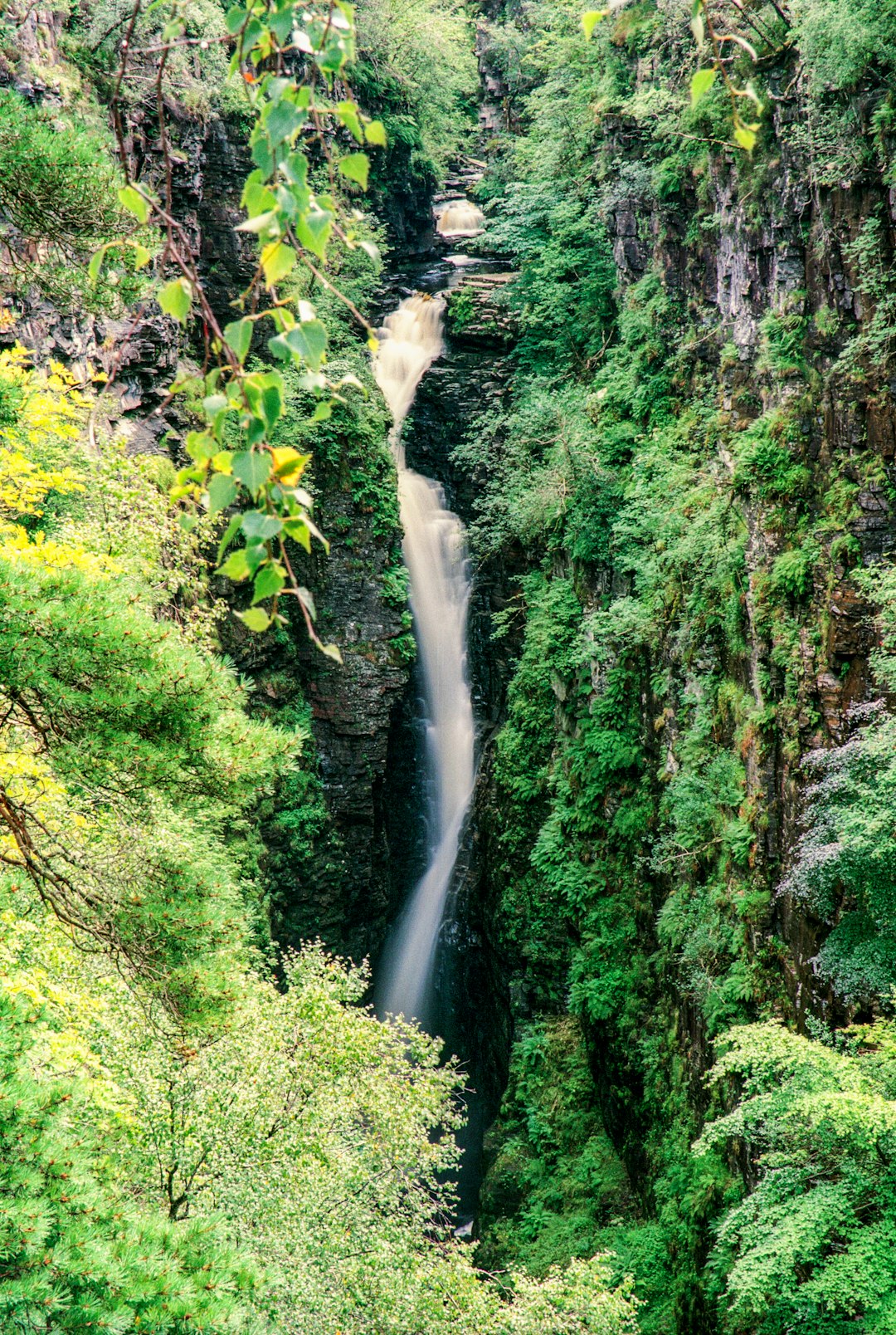 waterfalls in the middle of the forest during daytime