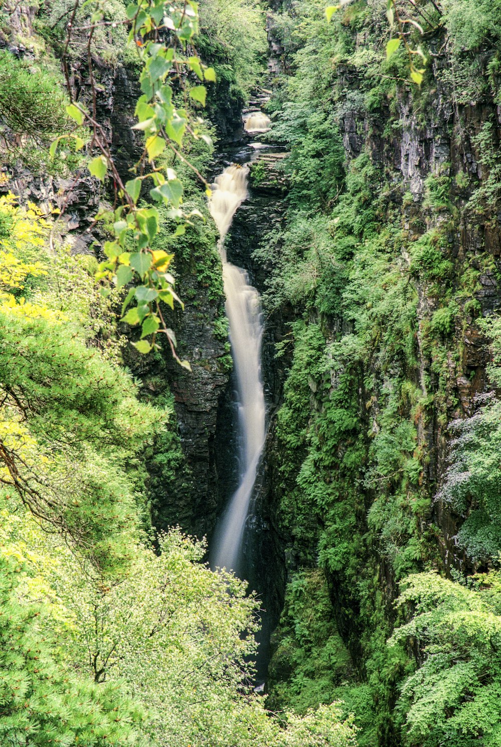 Cascate in mezzo alla foresta durante il giorno