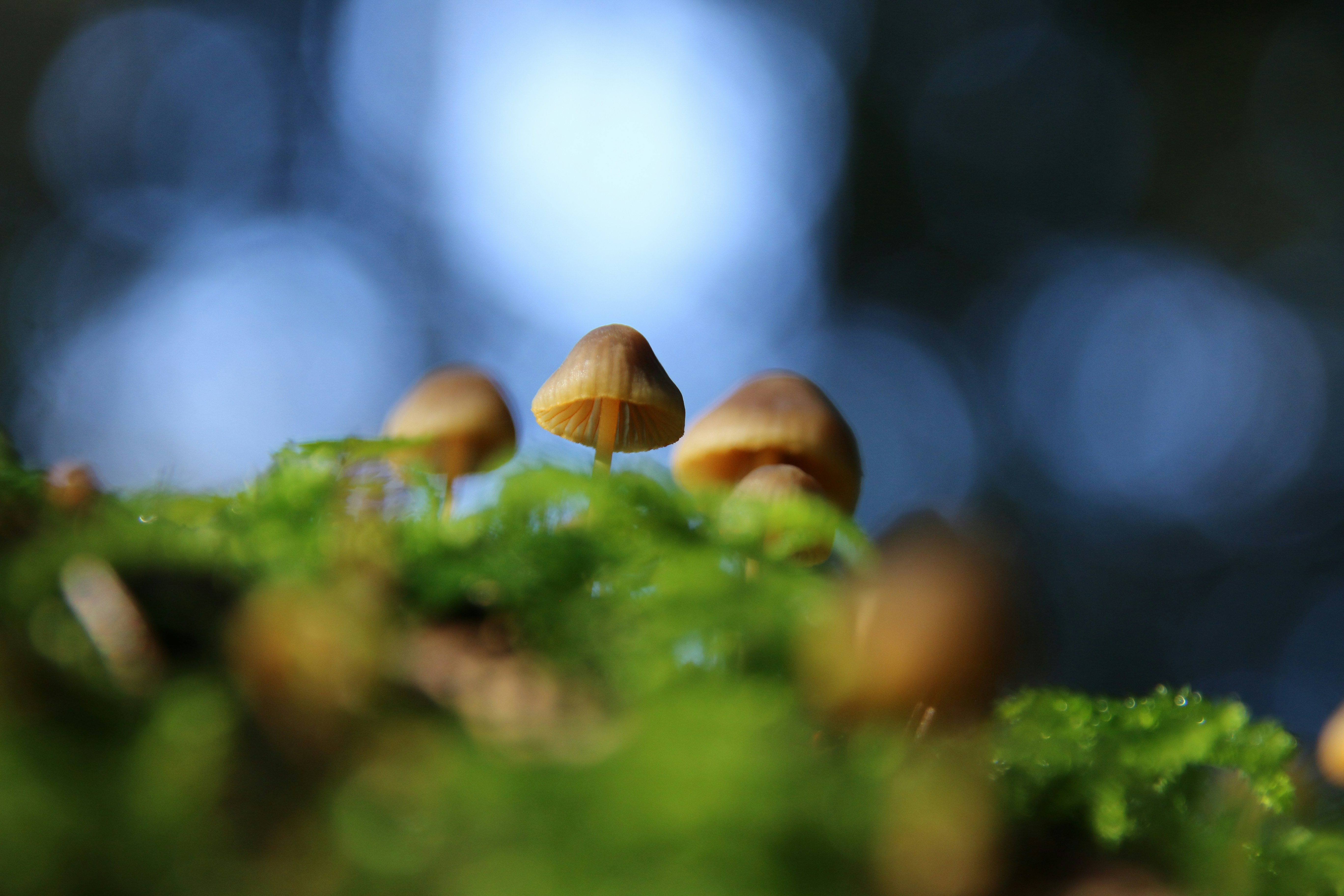 Photo by martin_hellbuehl