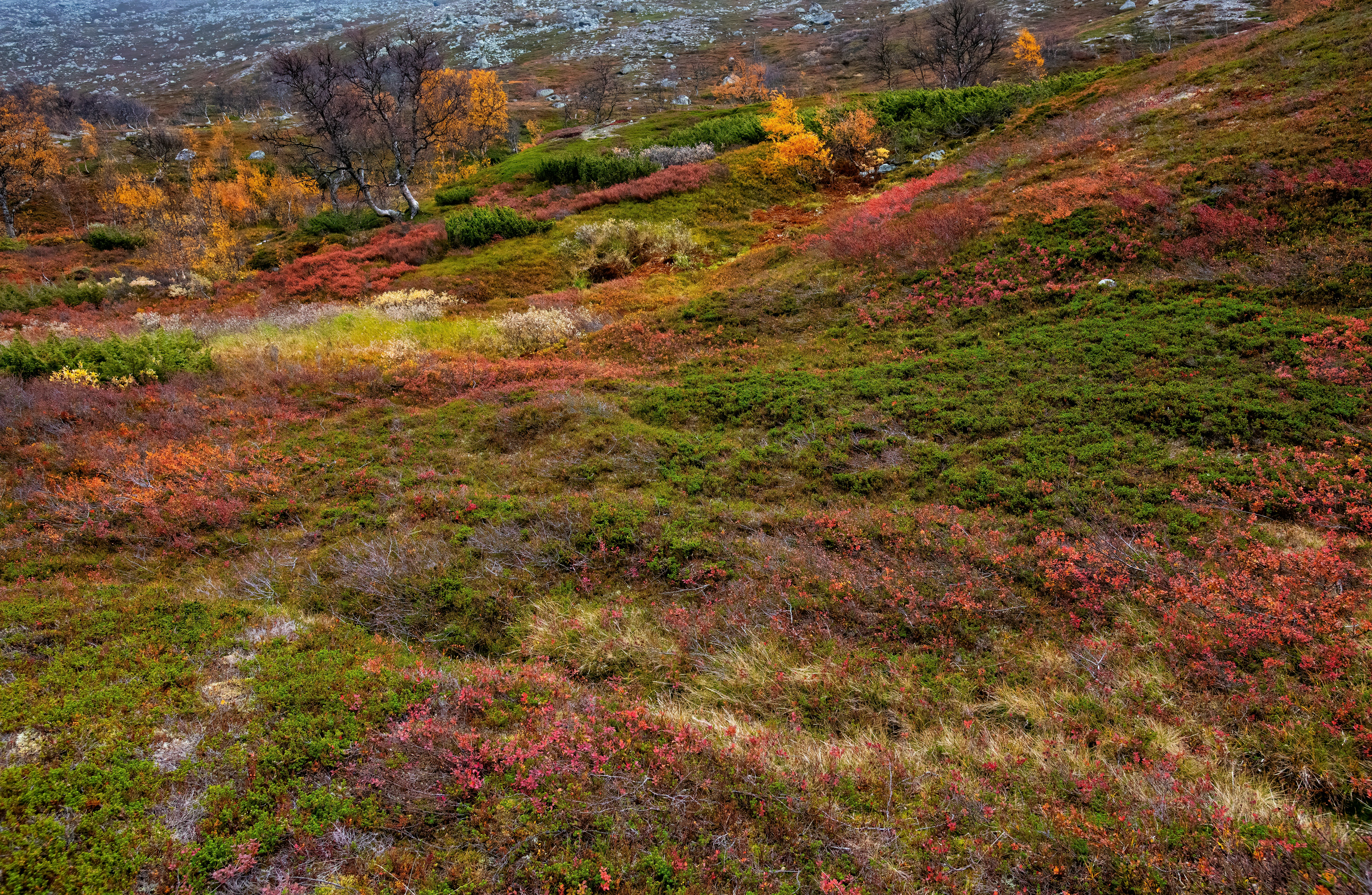 Photo by einarstorsul