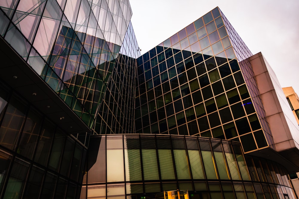 black glass walled high rise building