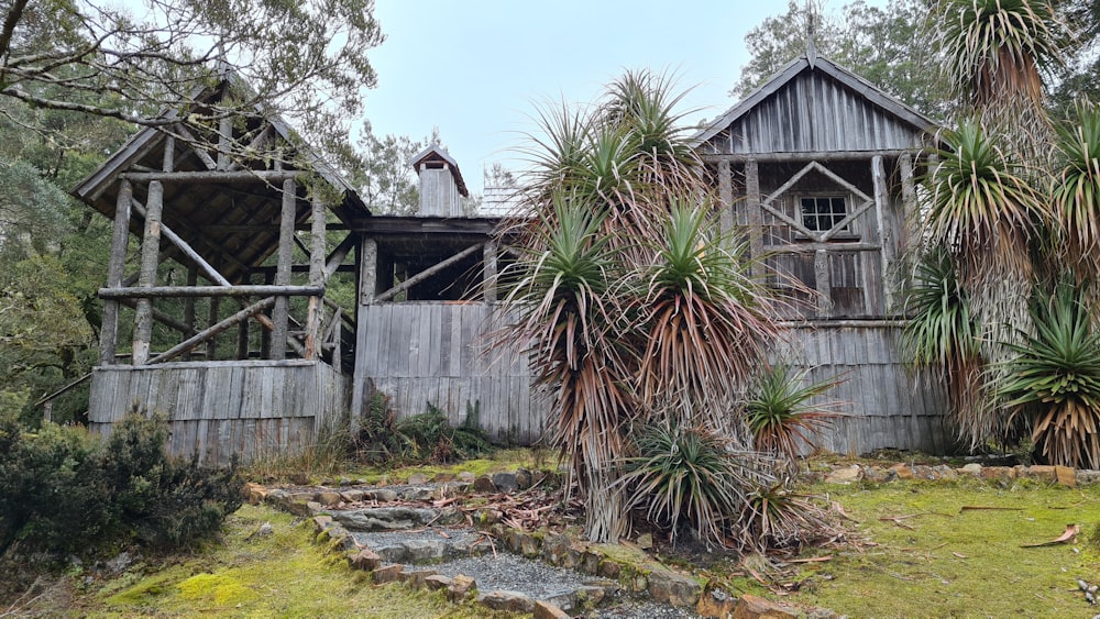 brown wooden house near green palm tree during daytime