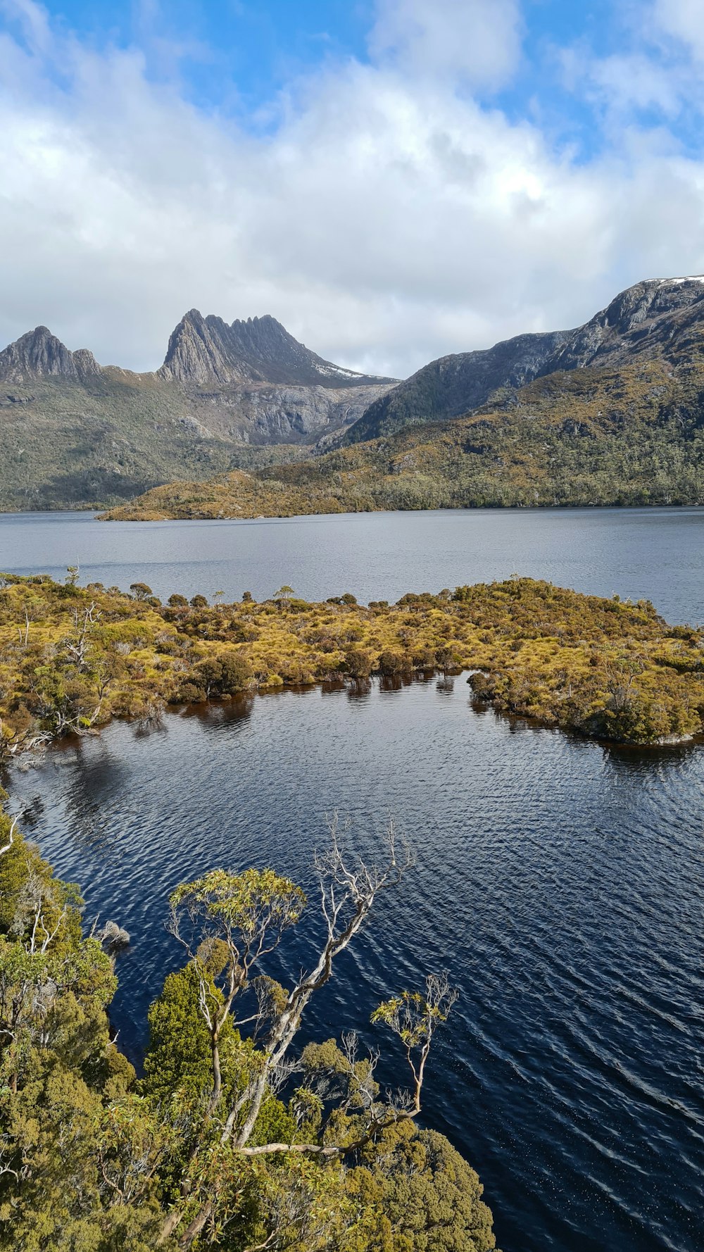 árboles verdes en el lago cerca de la montaña durante el día