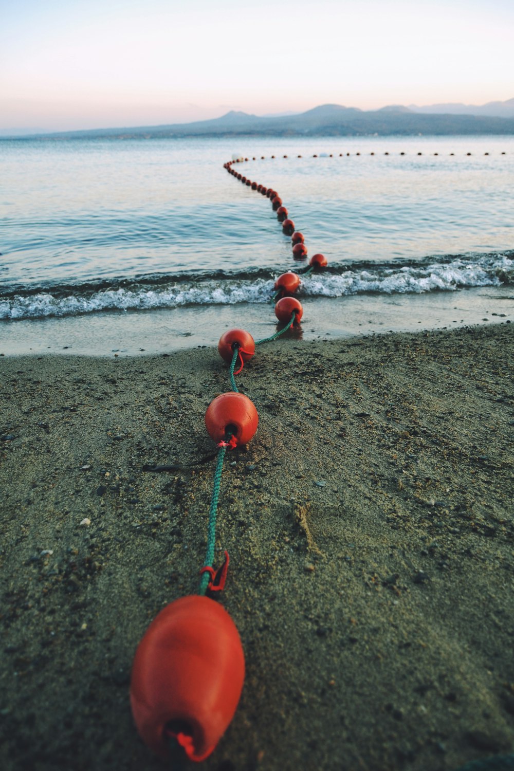 red tomato on beach shore during daytime