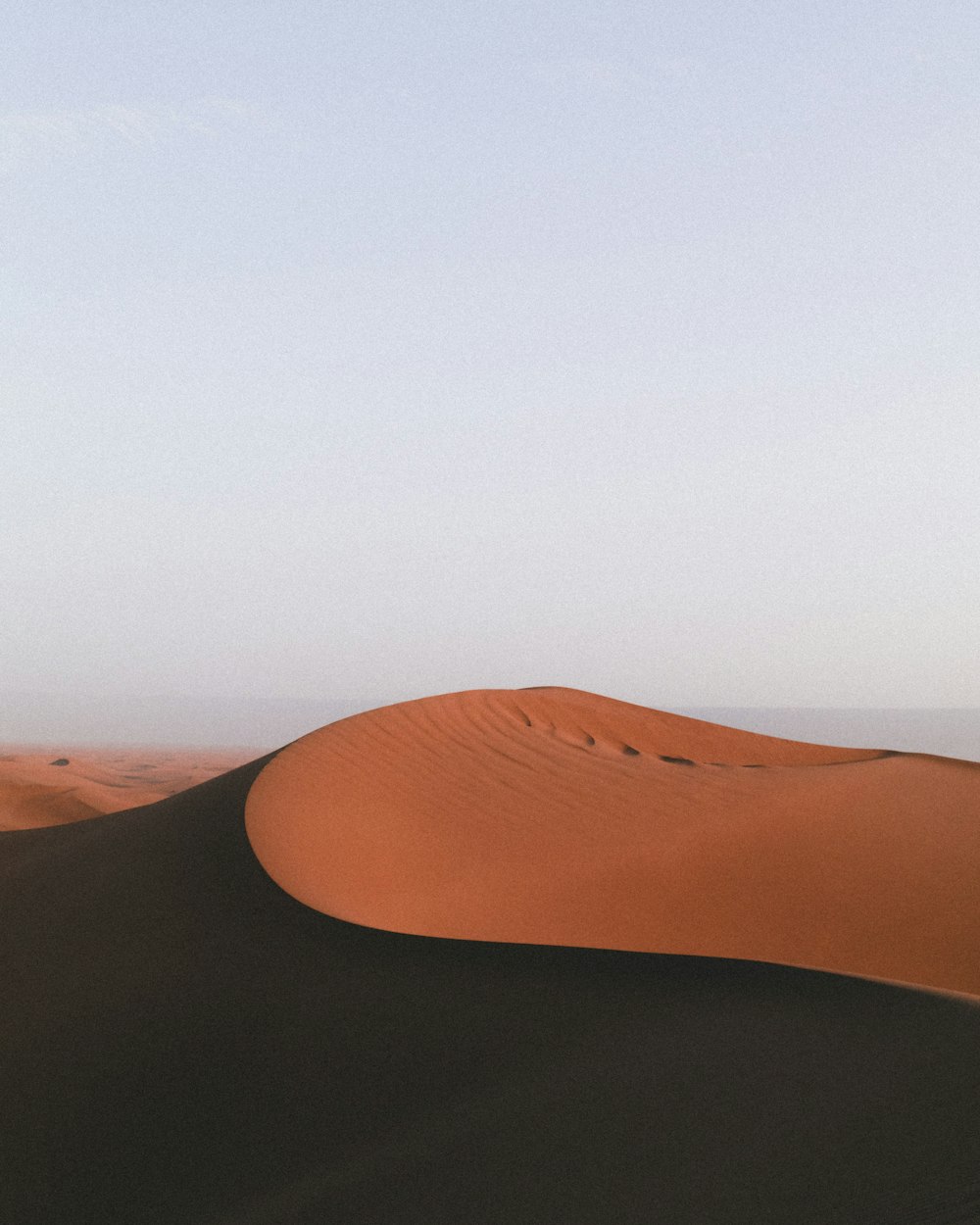 brown sand beach during daytime