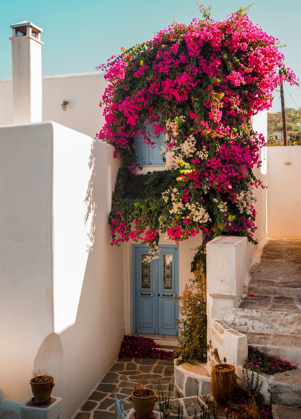 Wit huis met blauwe deur en roze bloemen