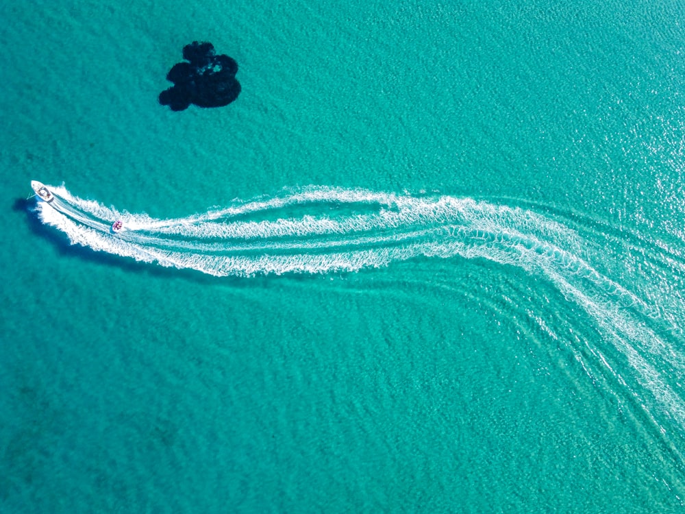 black bird flying over the sea during daytime