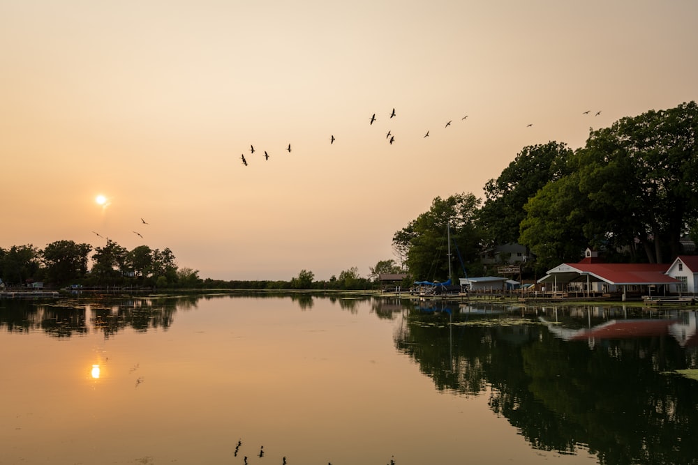Pájaros volando sobre el lago durante la puesta de sol