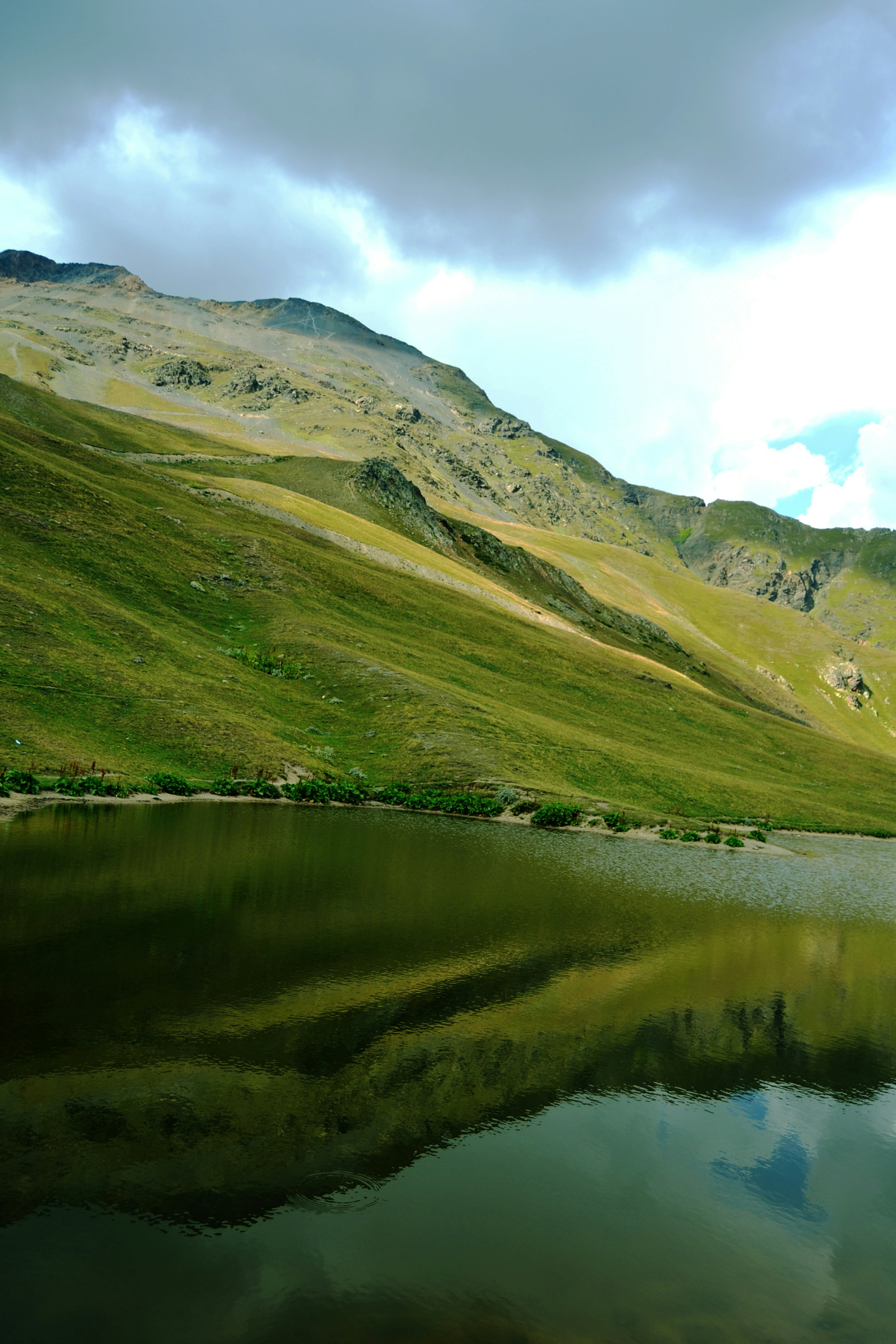 Photo by dina_dandelion