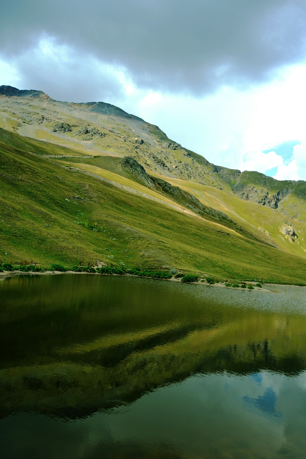 green grass field and lake