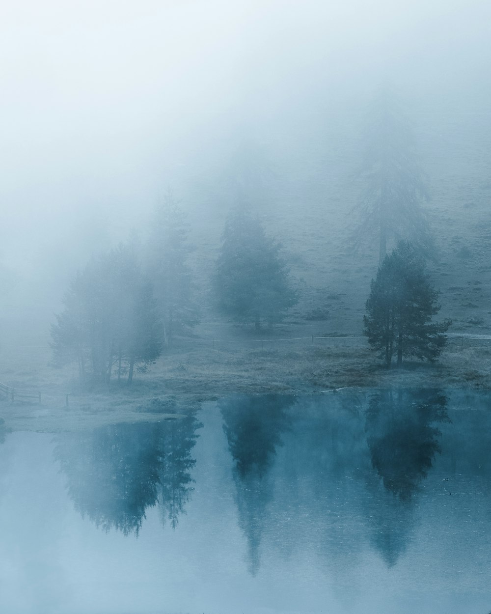 a body of water surrounded by fog and trees