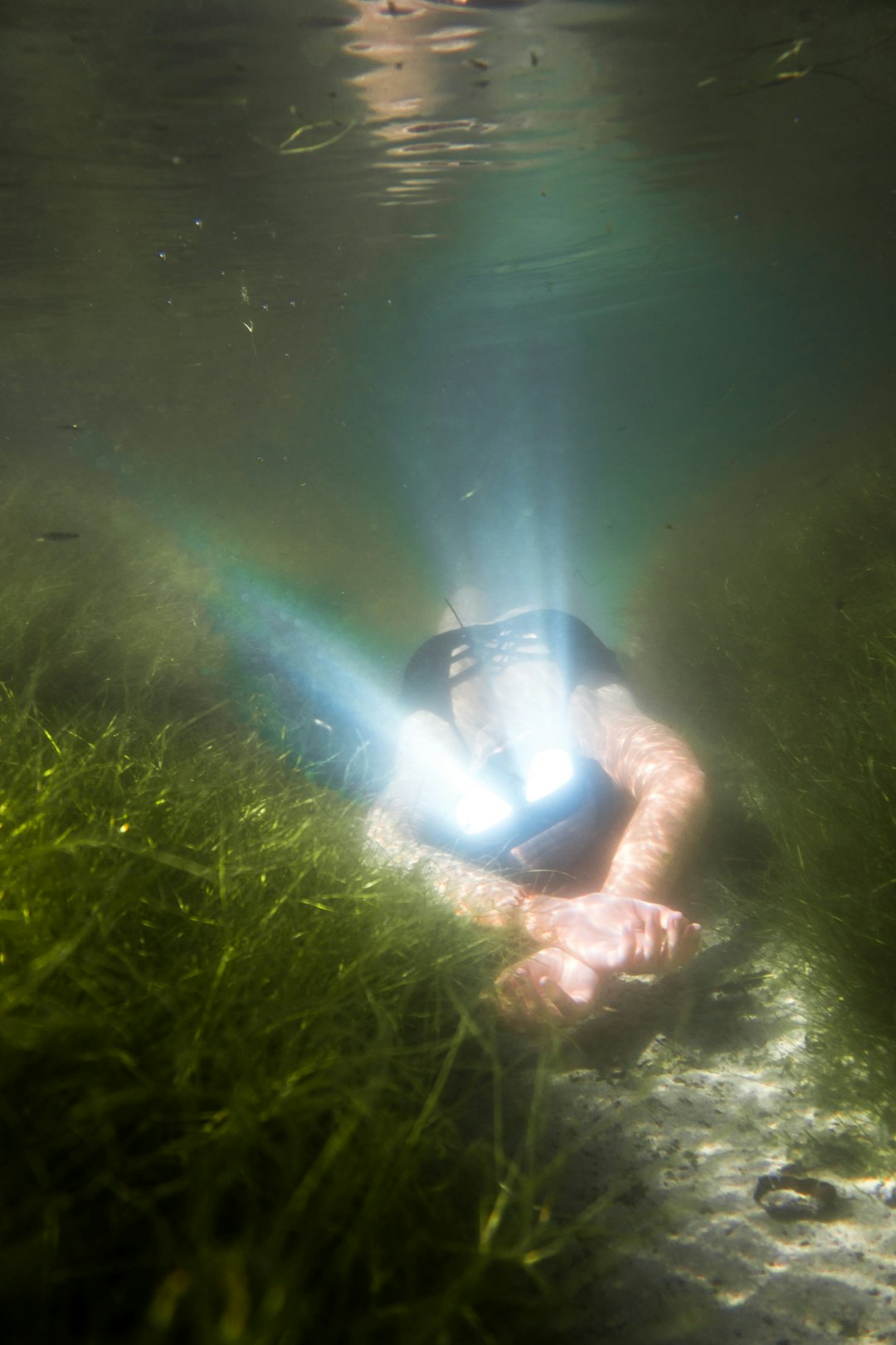 person in blue shorts lying on green grass