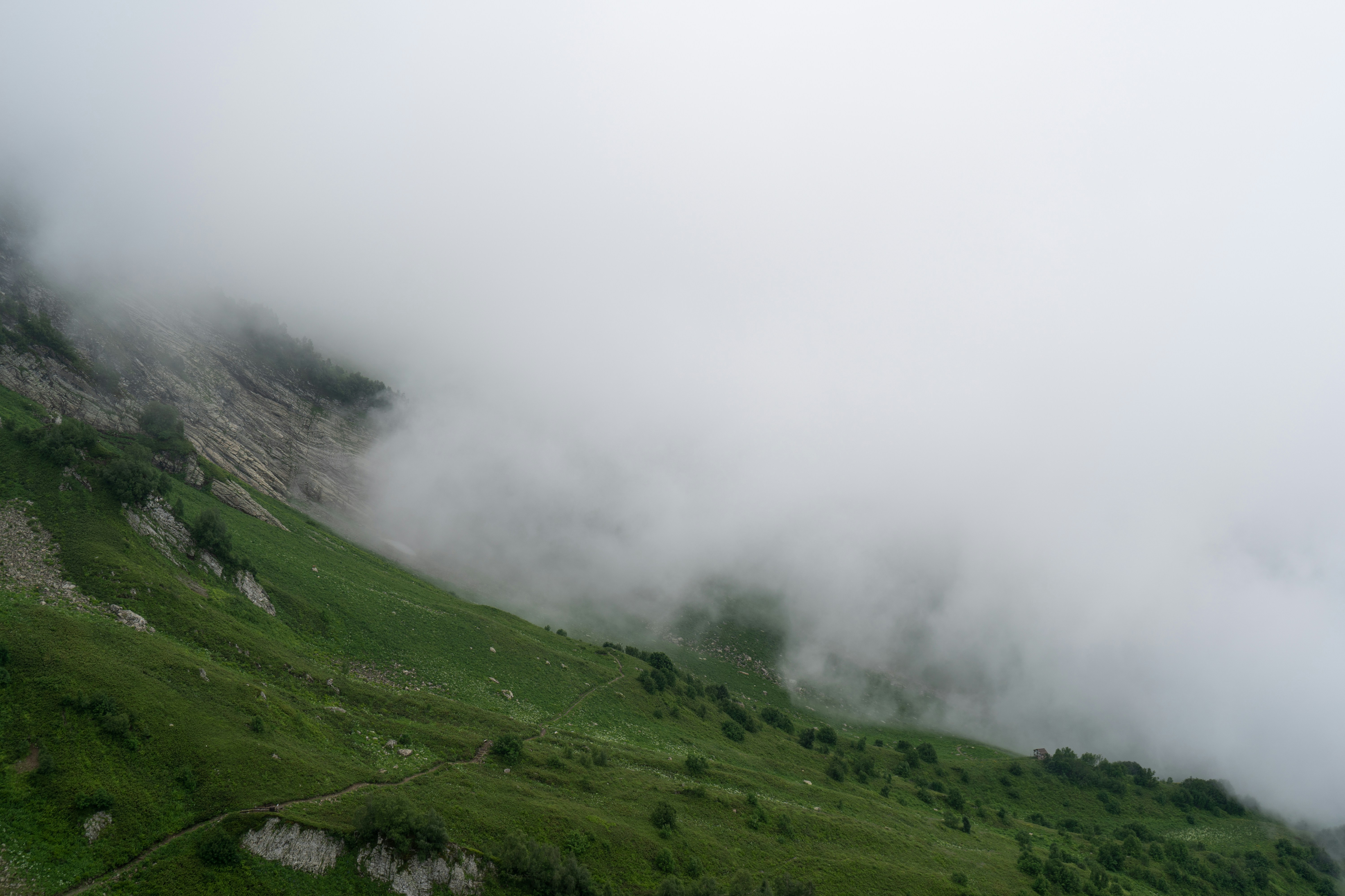 Photo by apolonikova