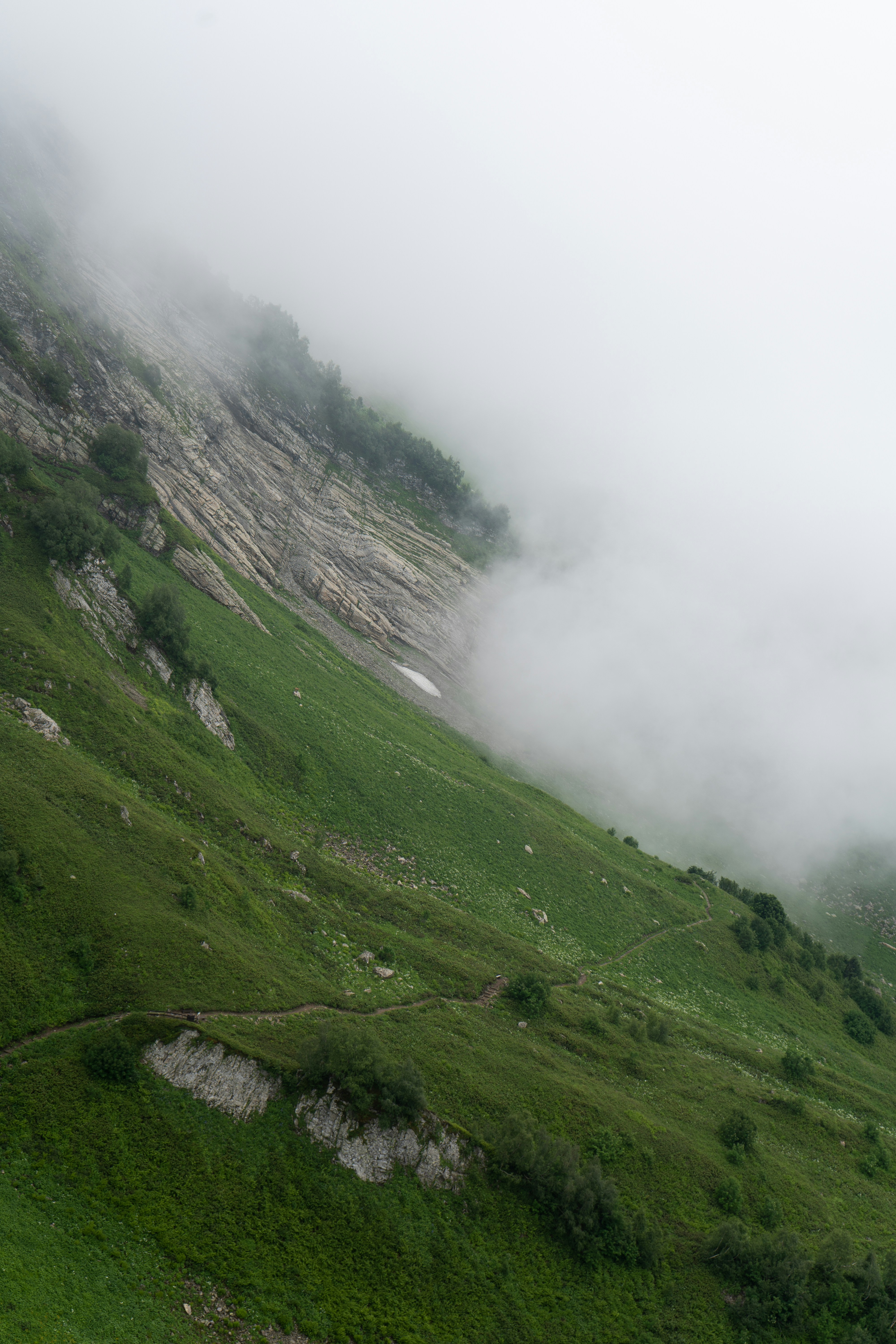 Photo by apolonikova