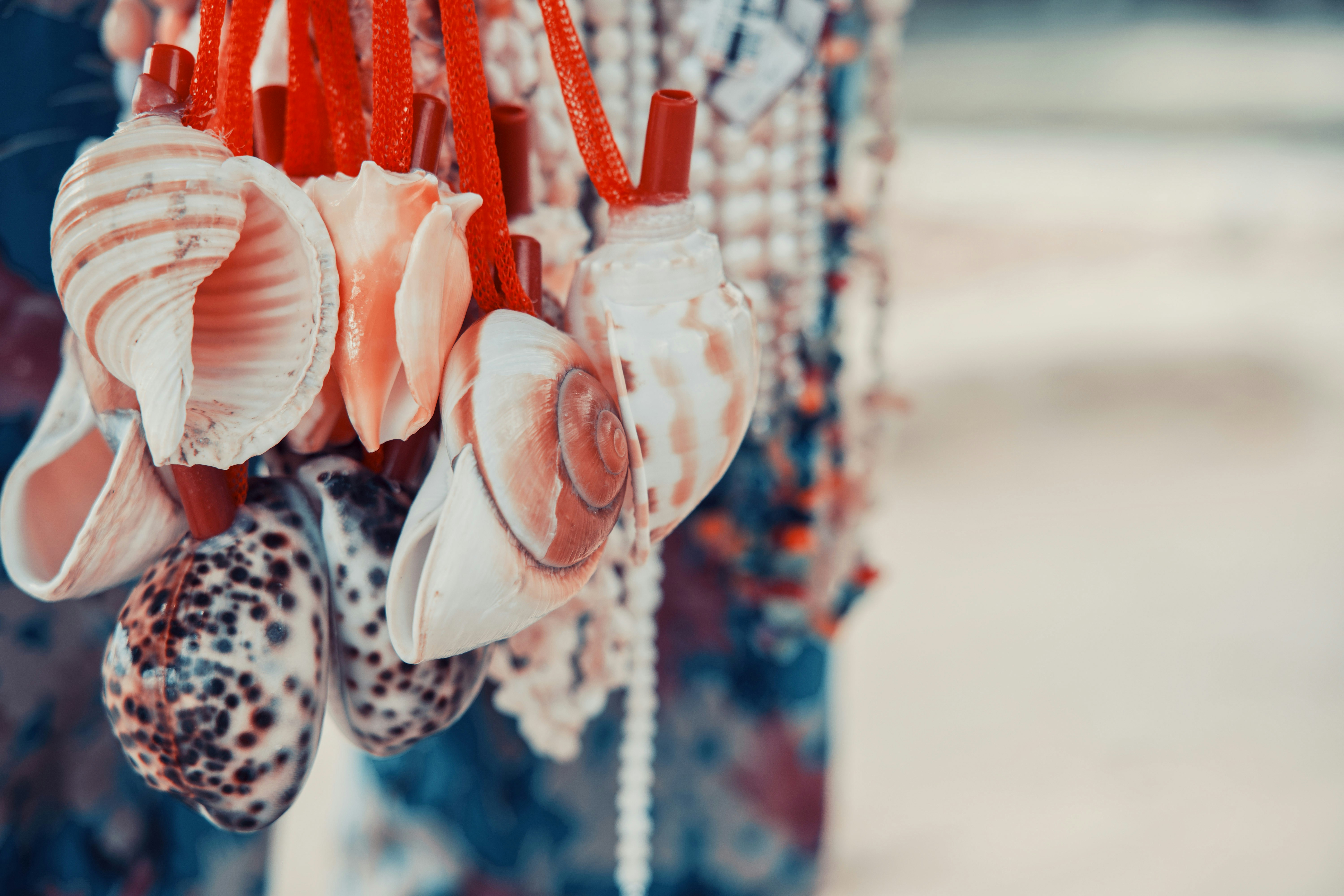 Beach fashion collage with styled outfits and accessories