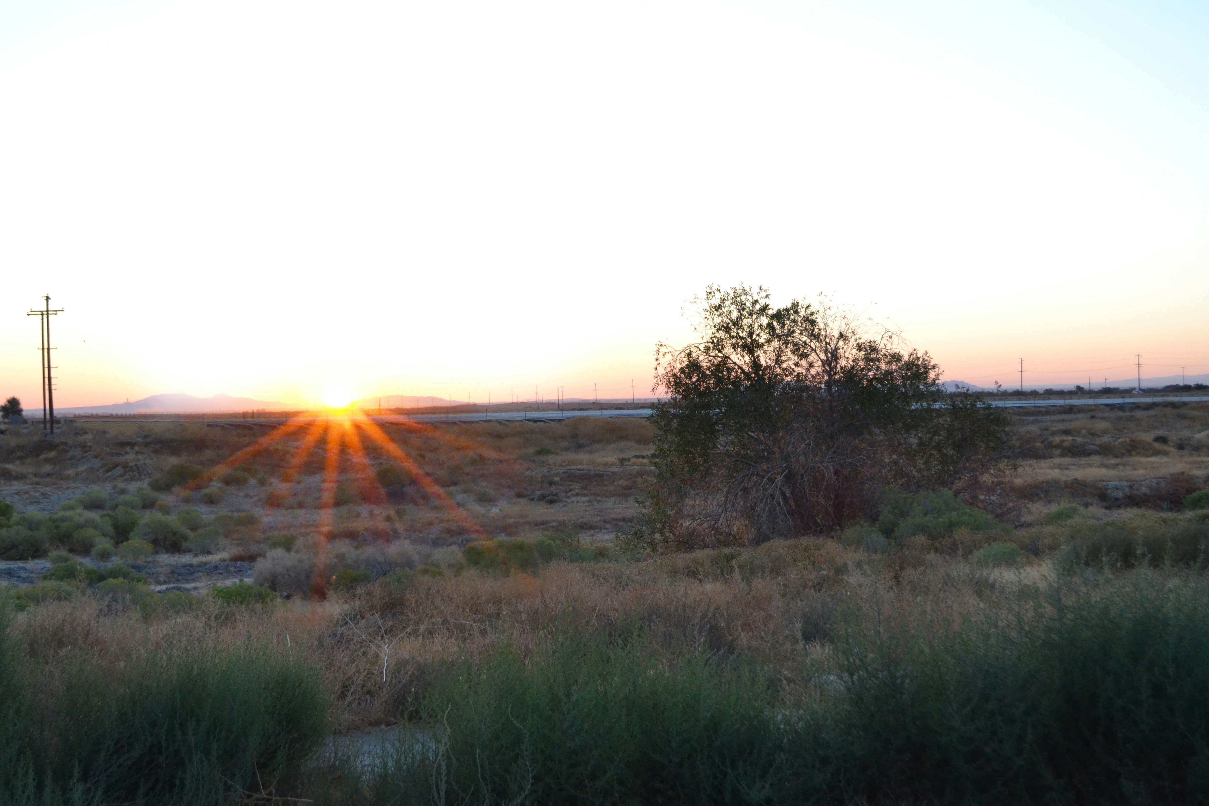 Photo by timothy_flippo