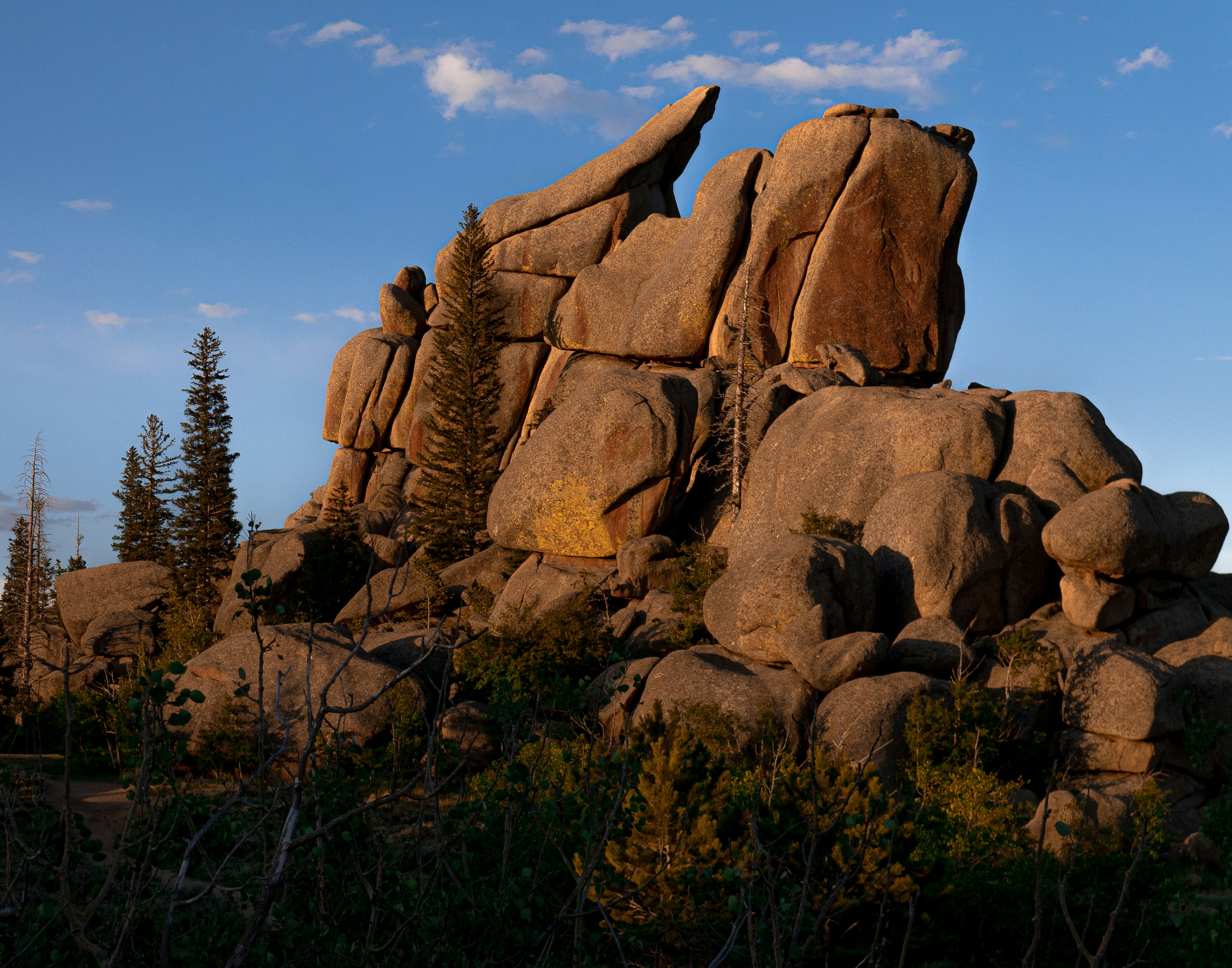 brown rock formation near green trees under blue sky during daytime wyoming teams background