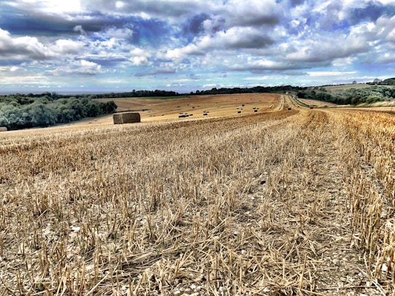 A vast harvested field under a partly cloudy sky. The field is filled with rows of cut straw, and several hay bales are scattered across the landscape. The terrain gently slopes, with a mix of trees and distant hills on the horizon.