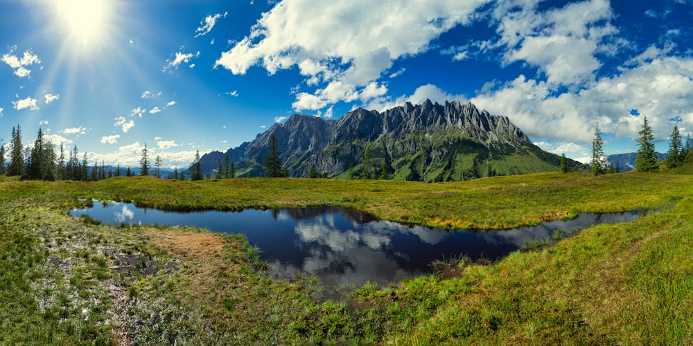 green grass field near lake under blue sky and white clouds during daytime