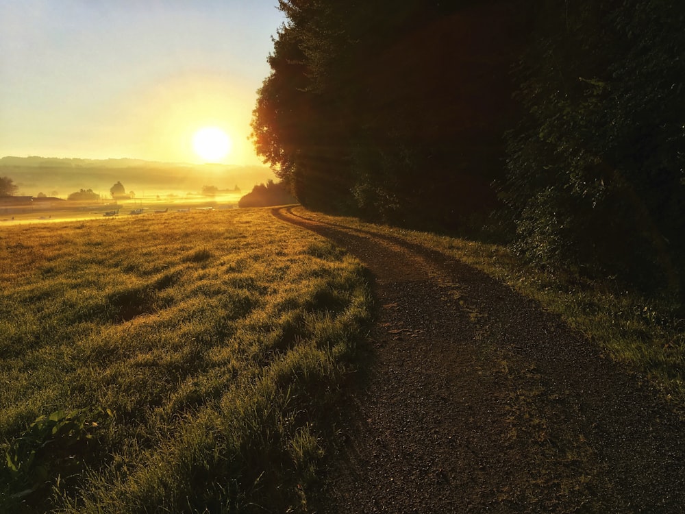 green grass field during sunset