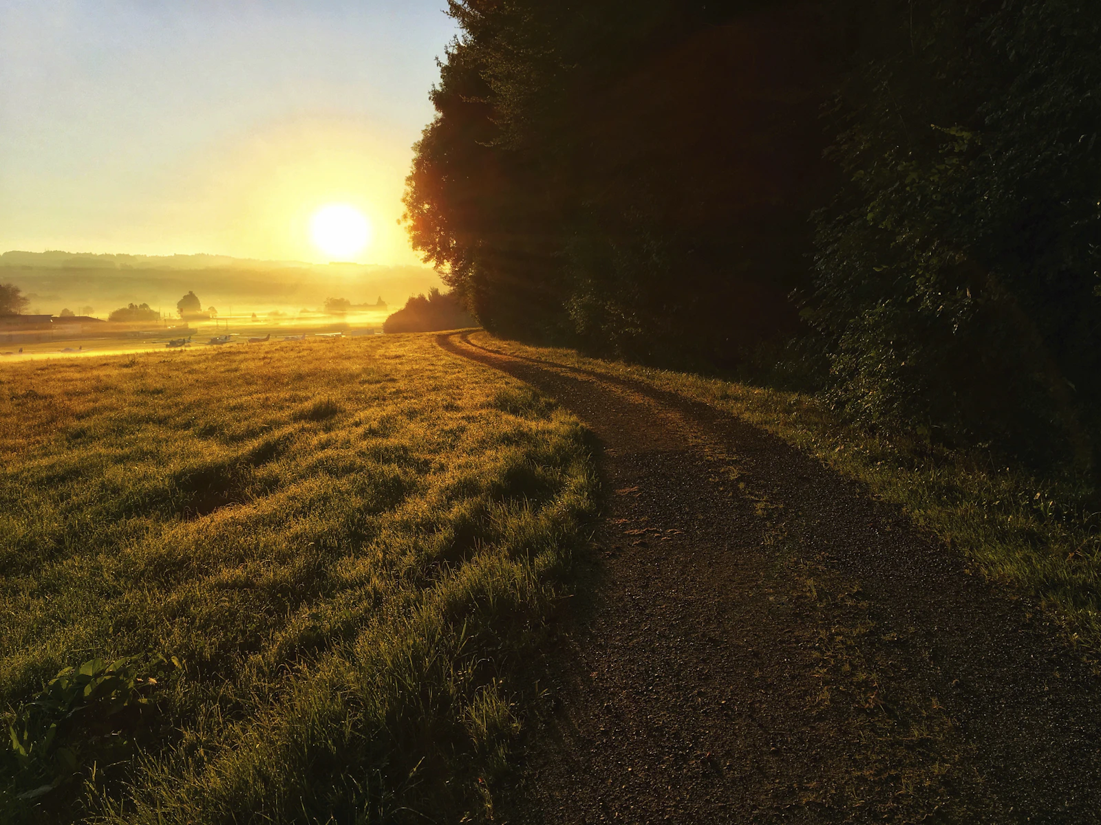 A quiet path through a green field toward a soft sunrise