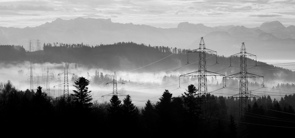 Photo en niveaux de gris d’arbres et de montagnes