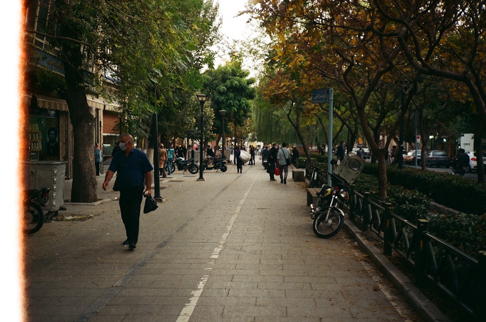 people walking on sidewalk near green trees during daytime