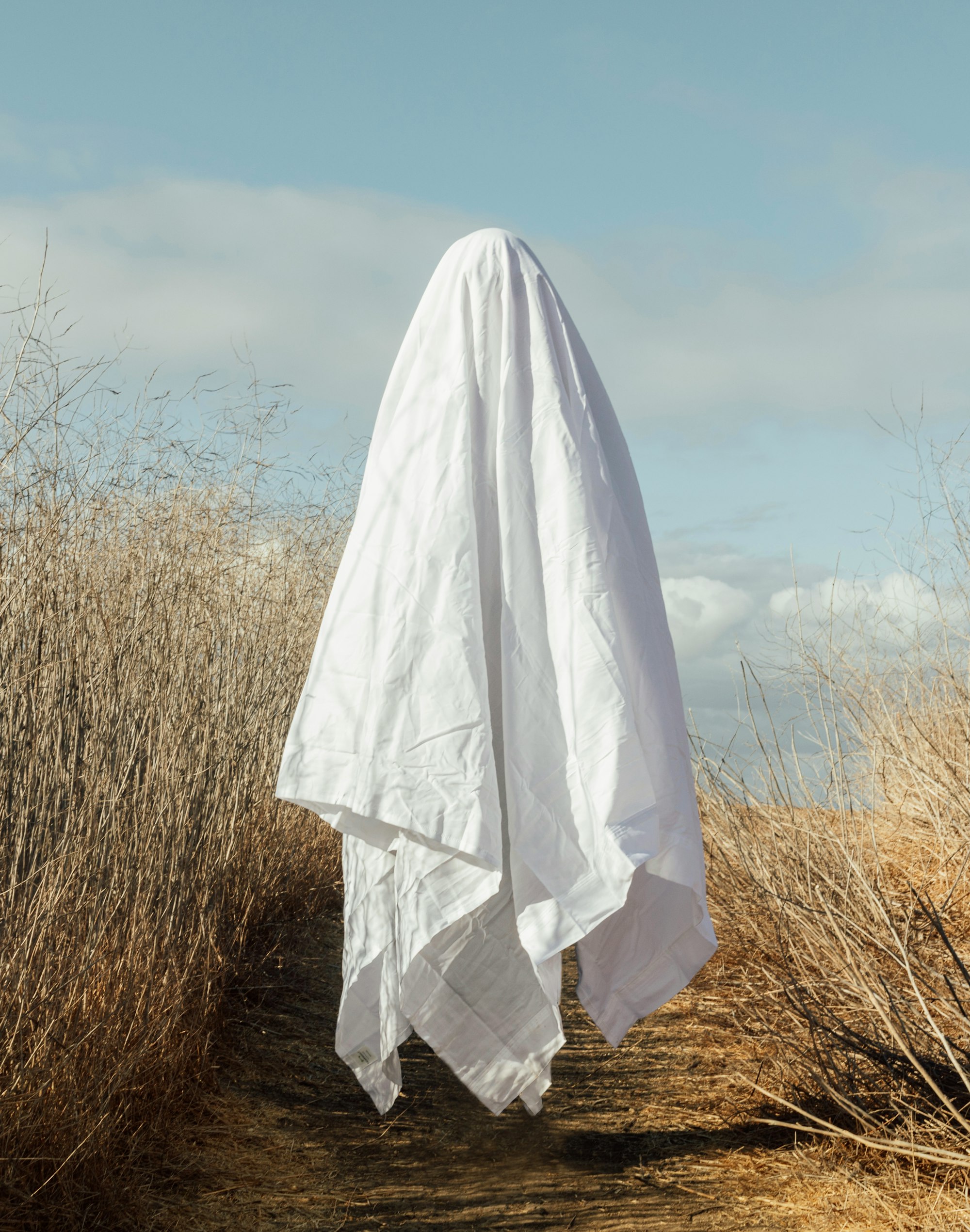 Ein GHOST 5 Weblog kostenlos cloudhosten