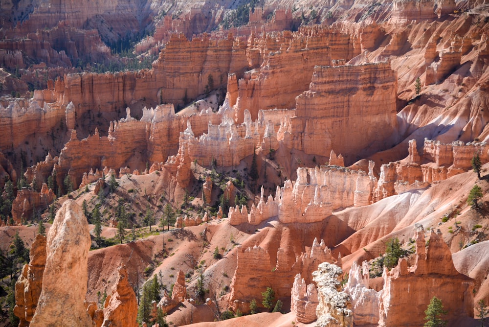 brown rock formation during daytime