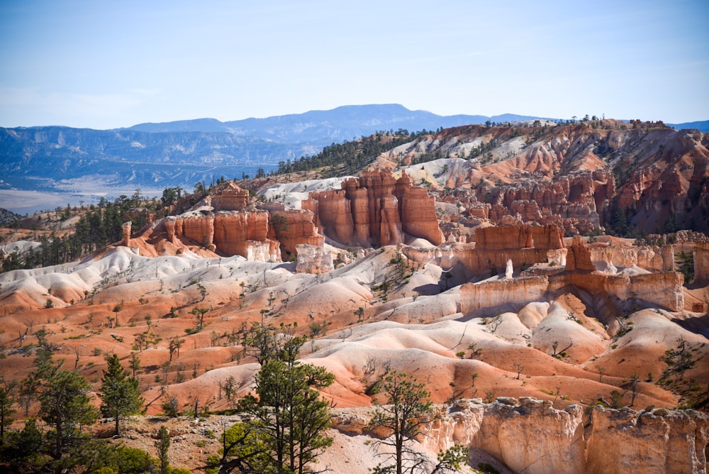 brown rock formation during daytime