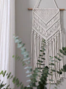 green cactus plant near white wall