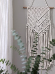 green cactus plant near white wall