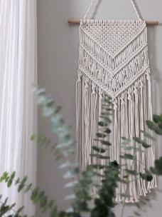 green cactus plant near white wall