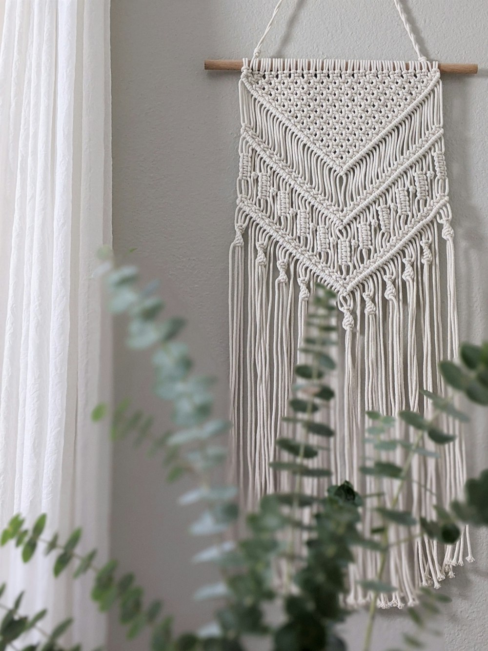 green cactus plant near white wall