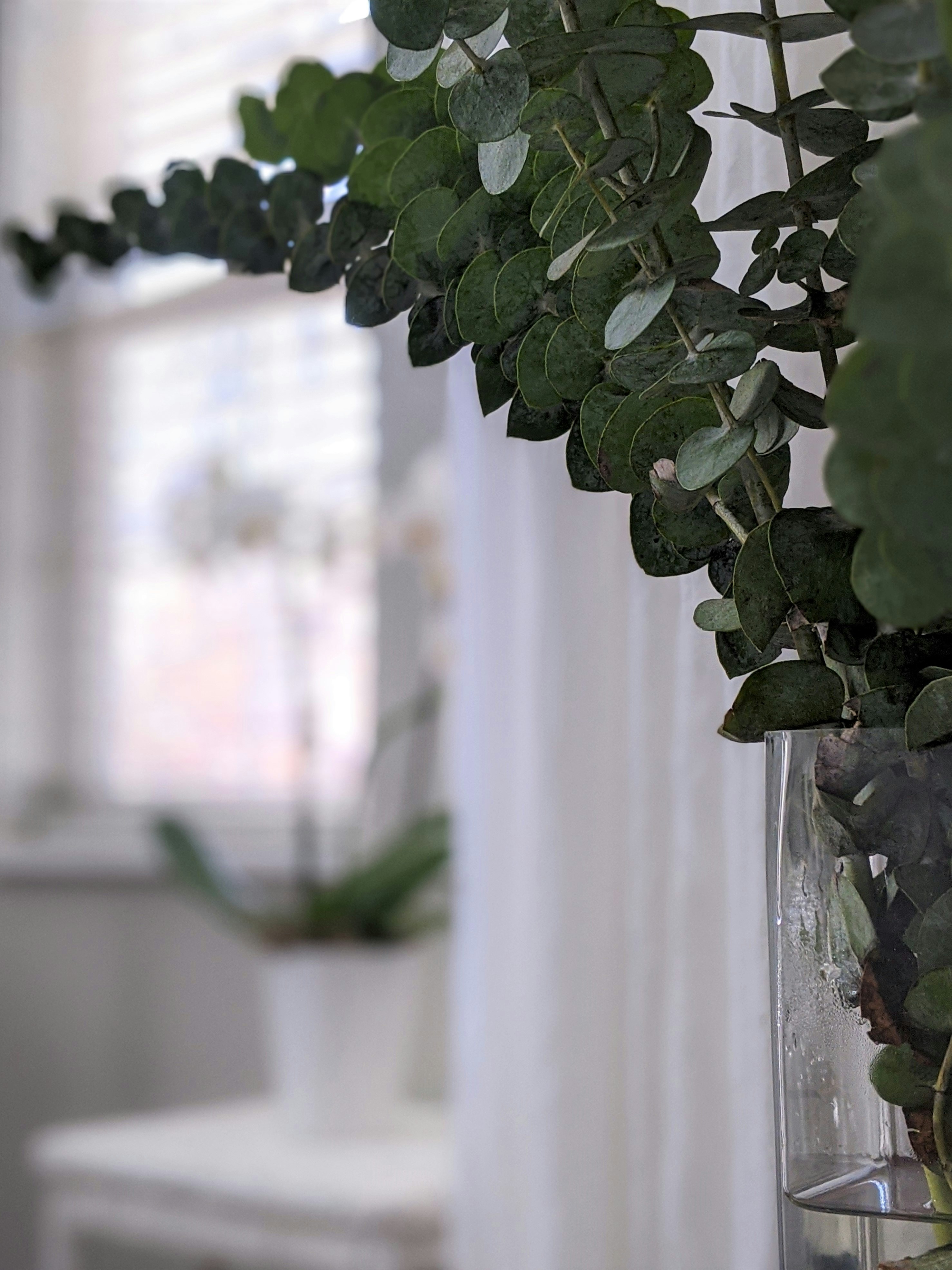 Photo by susan_wilkinson