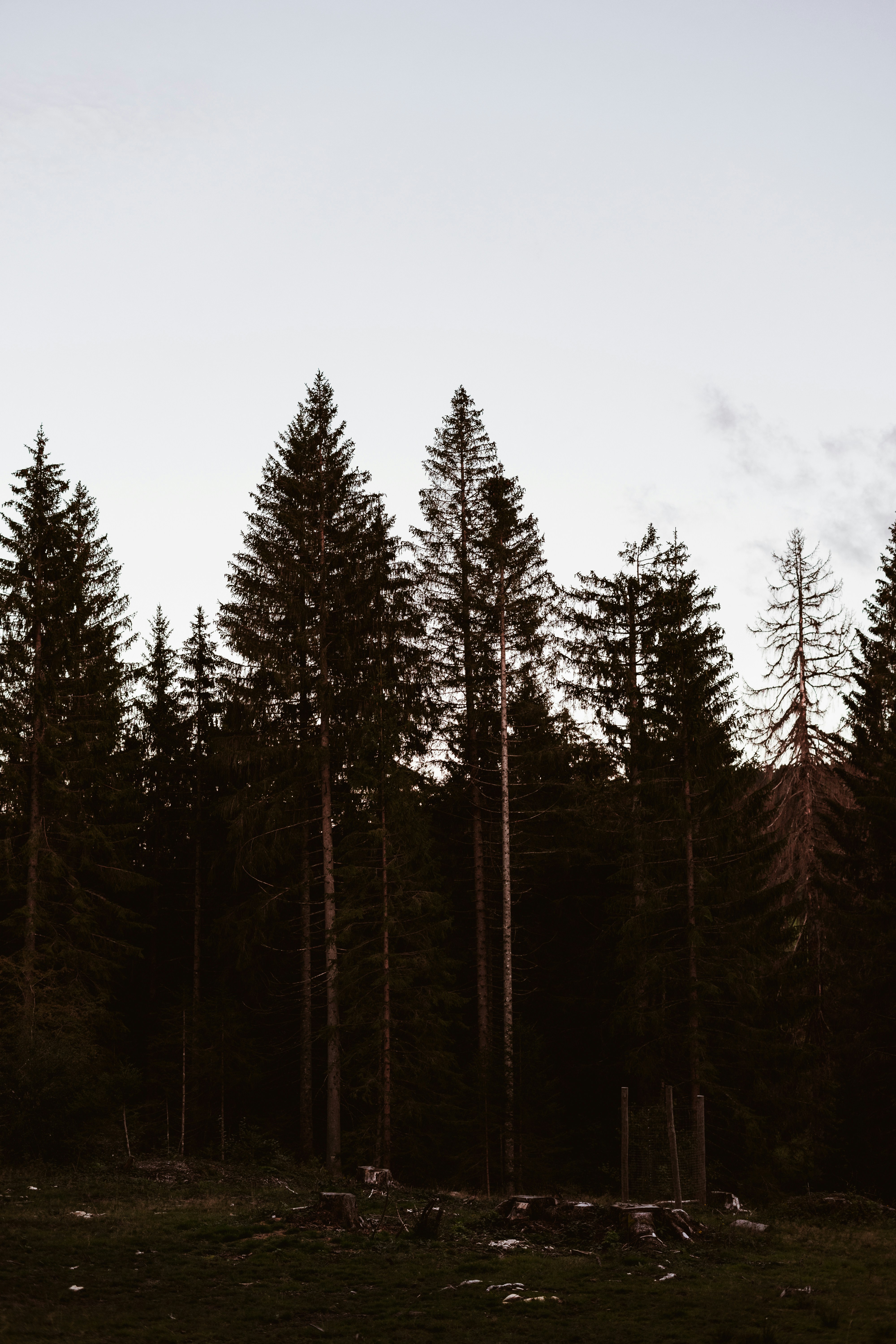 Photo by virussinside