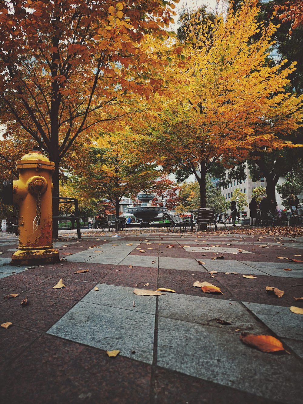 people walking on sidewalk with trees on the side