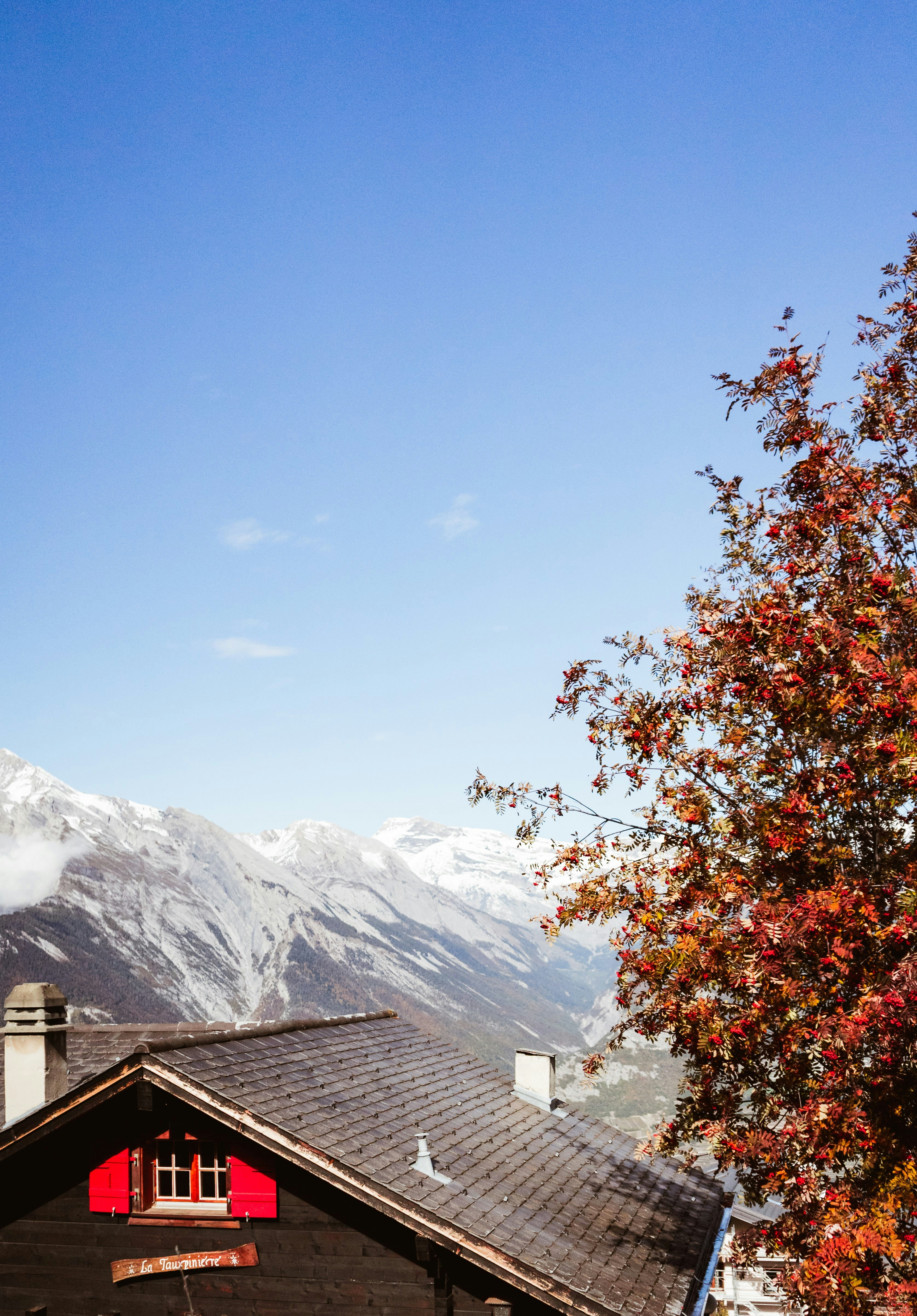 Photo by virussinside