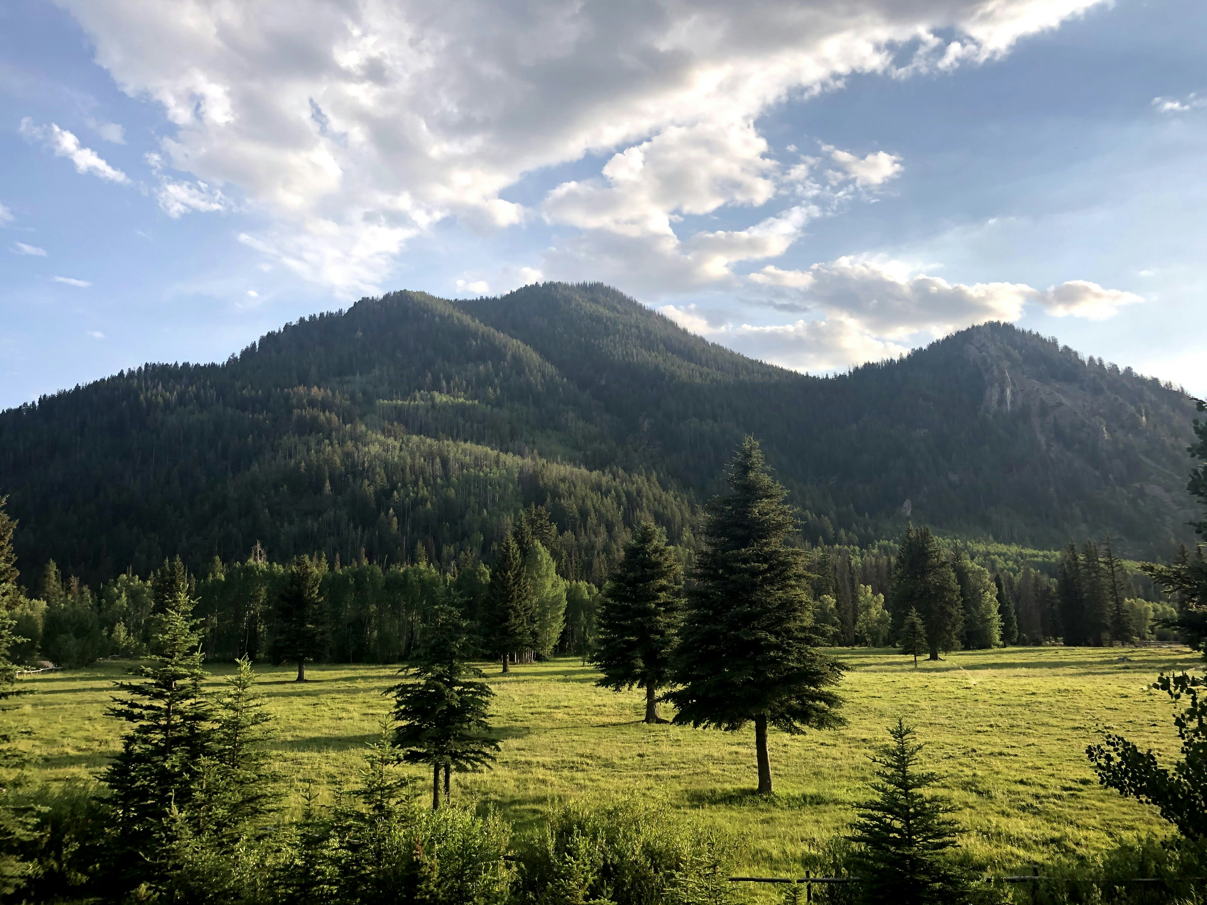 Photo by spencejenkins