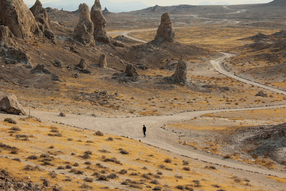 Person, die tagsüber auf braunem Sand spazieren geht
