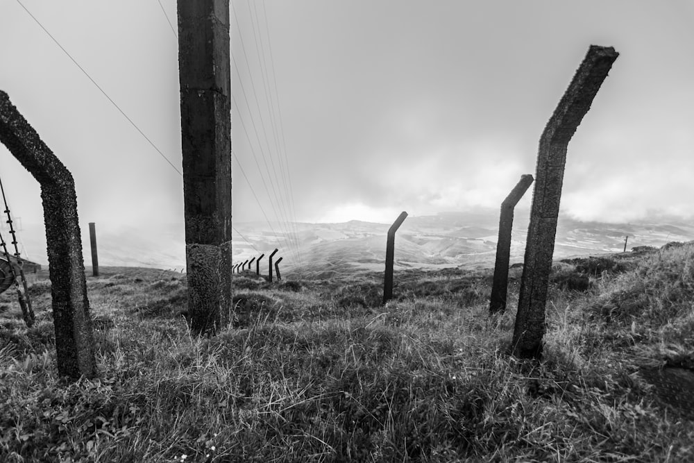 grayscale photo of two person walking on grass field