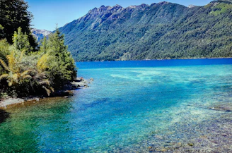 A serene water reservoir surrounded by lush greenery under a clear blue sky.