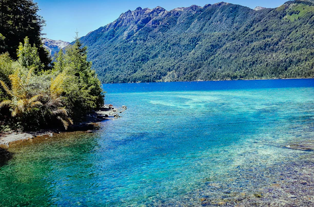 A serene water reservoir surrounded by lush greenery under a clear blue sky.
